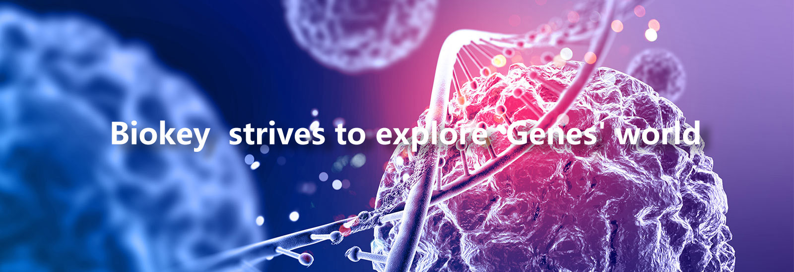 quality RT qPCR Machine factory