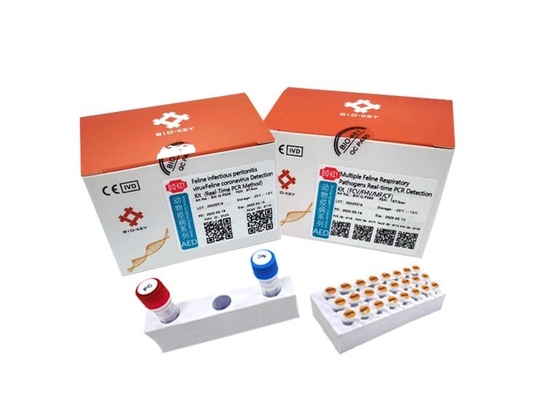 RT QPCR Feline Infectious Peritonitis Test Taq DNA Feline Coronavirus Test Kit