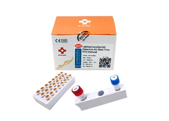 CLep Canine Dog Test Kit DNA Polymerase Leptospira Test Fluorescence  PCR