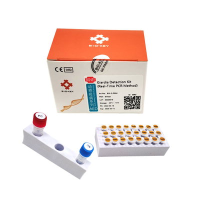 PCR Dog Giardia Test Kit Fluorescent Probe Canine Dog Test Kit Nucleic Acid