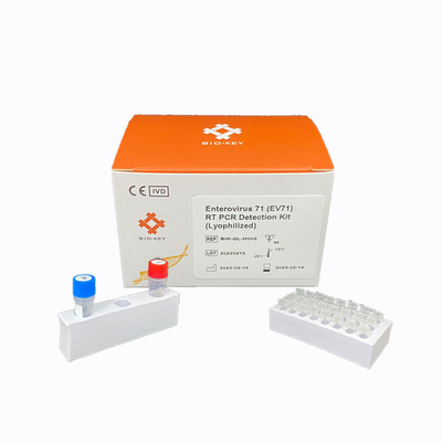 RT PCR Enterovirus 71 Rapid Test Kit  Lyophilized DNA Detection Kit
