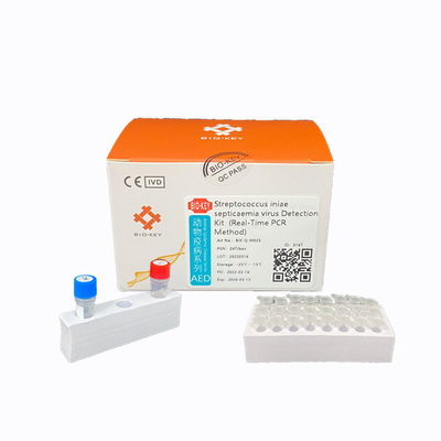 Fluorescent Probe Streptococcus Test Kit Ct38 PCR Aquaculture Kit