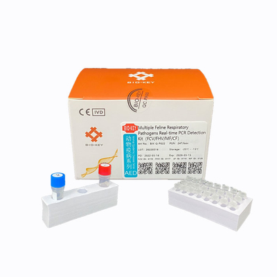 PCR Feline Herpesvirus Test Probe Kits Cat Test Chlamydia Fluorescence