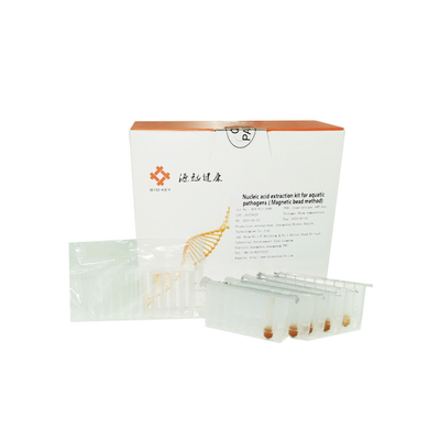 ISO13485 Nucleic Acid Extraction Kit Magnetic Bead DNA RNA Extraction Kit