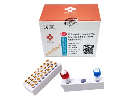 Vannamei shrimp White Spot Syndrome Virus WSSV Rapid Test Kit Prawn Baculovirus PCR Kit