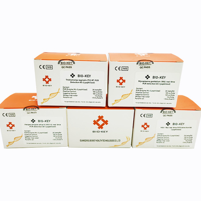 Real Time HSV-6 Herpes Simplex Virus PCR Lyophilized 24tests/Kit