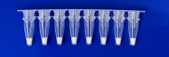 Lyophilized Real-Time PCR Detection Kit For Pig Ingredient In Food Sample
