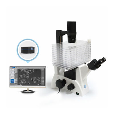 Inverted Biological Microscope B60iL Special Microscope For Cell Factory Observation