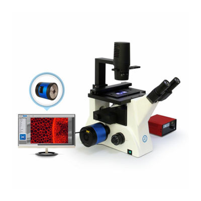 Streamlined Design B80iF Inverted Biological Microscope For Cell Tissue Observation