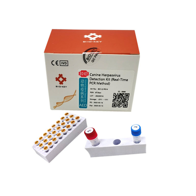 Taq Polymerase Canine Dog Test Kit PCR Canine Herpes Virus Test Fluorescence