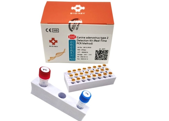 ISO13485 Canine Adenovirus Pcr Test Type II Taq Ploymerase Dog DNA Test Kit