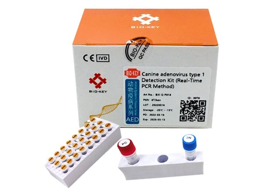 Canine Adenovirus Test Kit TypeⅠ Canine Dog Test Kit Taq Polymerase DNA PCR