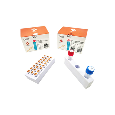 Real Time Leptospirosis Rapid Test Kit Taqman Probe Toxoplasma Test Kit