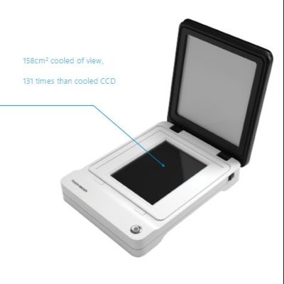 Immunoassay Automated Chemiluminescence Imaging System For Western Blot Transfer Protein Analysis