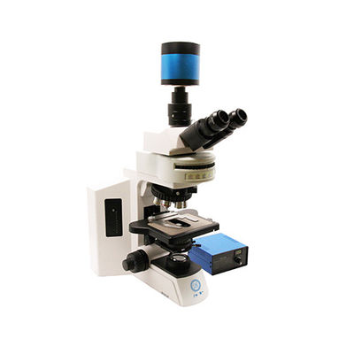 Research Grade Upright Microscope B80F with 12V/3W LED Light Source