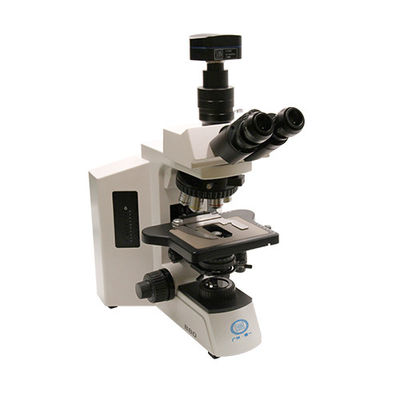 Research Grade Upright Microscope B80