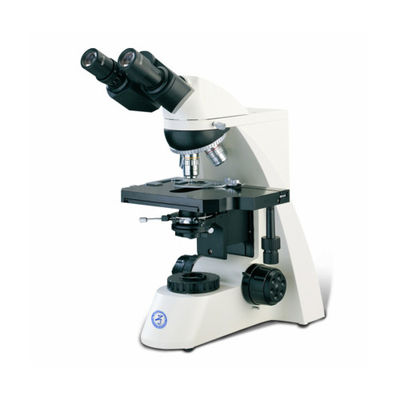 Precise Upright Microscope B50 With Three Eye Cylinder