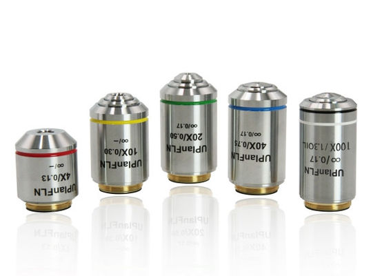 Research Grade Upright Microscope B80