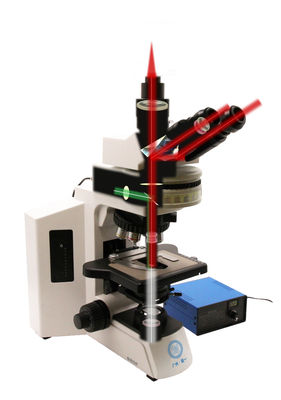 Research Grade Upright Microscope B80F with 12V/3W LED Light Source