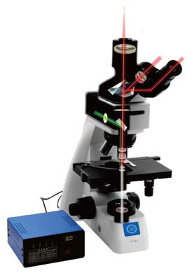Upright Biological Microscope B70 with Objective Turntable