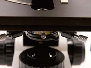 Coarse / Micro Coaxial Focusing Upright Biological Microscope B70F