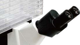 Inverted Biological Microscope B60iL Special Microscope For Cell Factory Observation