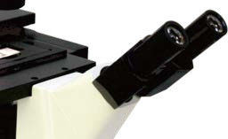 Streamlined Design B80iF Inverted Biological Microscope For Cell Tissue Observation