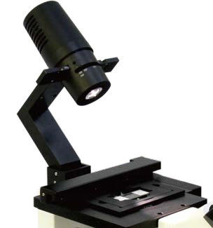 Streamlined Design B80iF Inverted Biological Microscope For Cell Tissue Observation