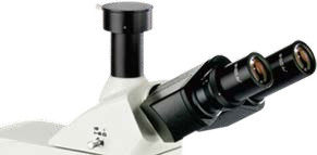 30° Tilted Three Eye Cylinder Upright Microscope B60