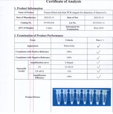 Food Safety Rapid Test Kit Based on Freeze Dried Real Time PCR Technology for Salmonella Detection in Food Safety Monitoring