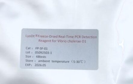 LyoDt® Freeze-Dried Powder Real-Time PCR Detection Reagent for Vibrio cholerae O1 - No Cold Chain Required & Single-Test Pre-Dispensed