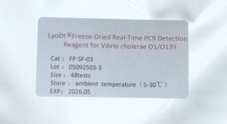 LyoDt® Freeze-Dried Real-Time PCR Detection Reagent for Vibrio cholerae O1/O139 - No Cold Chain Required & Single-Test Pre-Dispensed