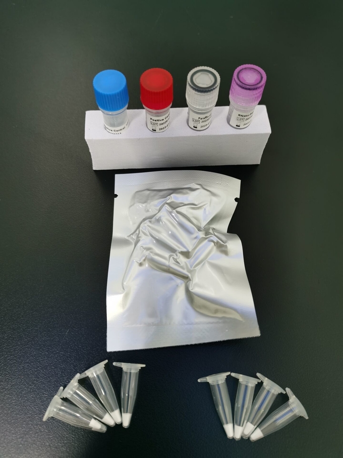 HPV Genotype 2+12 Real Time PCR Detection Kit High Risk 16+18 Medium Risk